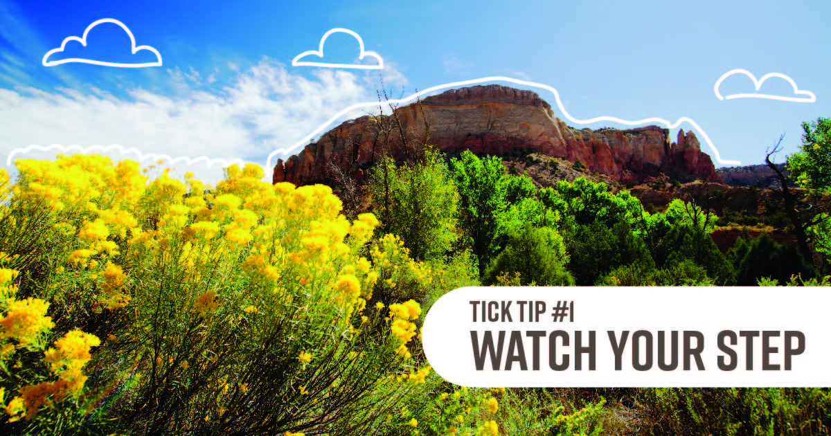 An outdoor scene of scrub brush and wildflowers. Text reads: Tick tip No. 1: Watch your step